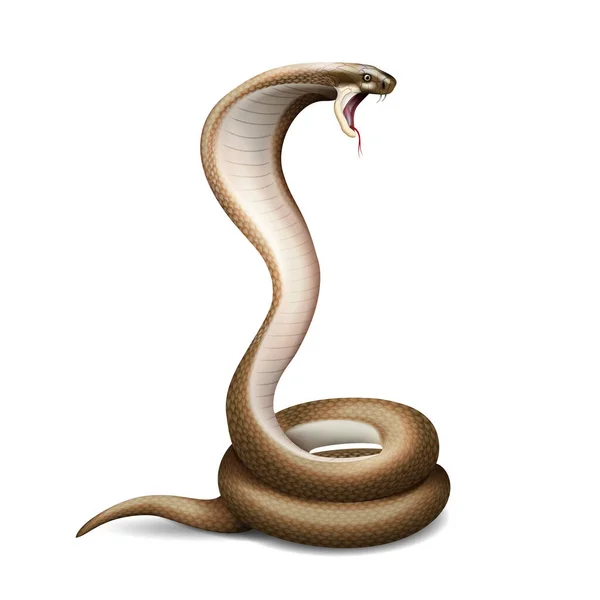 Hissing Snake Realista Composição — Vetor de Stock