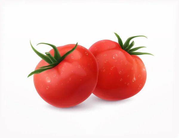 Tomaten realistisches Design — Stockvektor