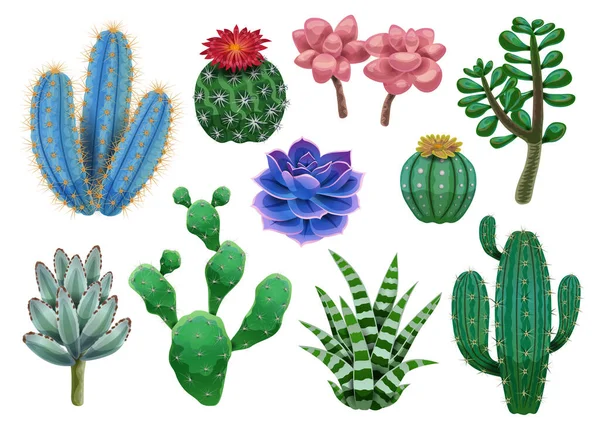 Colección de iconos de plantas de cactus — Vector de stock