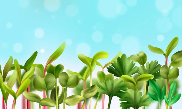 Hälsosam kost Microgreens bakgrund — Stock vektor