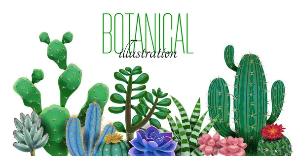 Composición del texto botánico de cactus — Archivo Imágenes Vectoriales