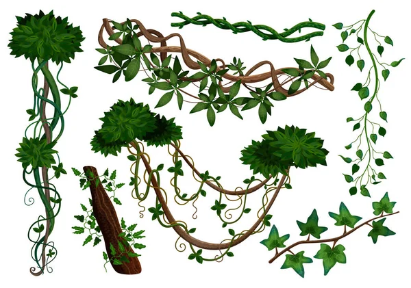 Ensemble de lianes tropicales — Image vectorielle