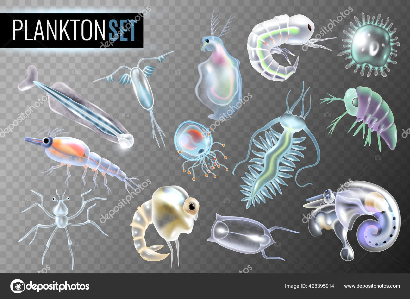 Plankton Transparent Set Stock Vector by ©macrovector 428395914