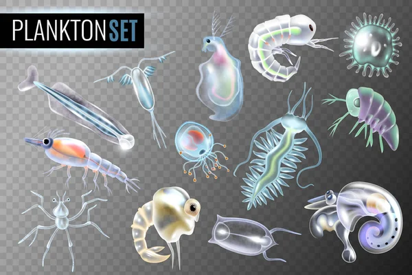 Ensemble transparent plancton — Image vectorielle