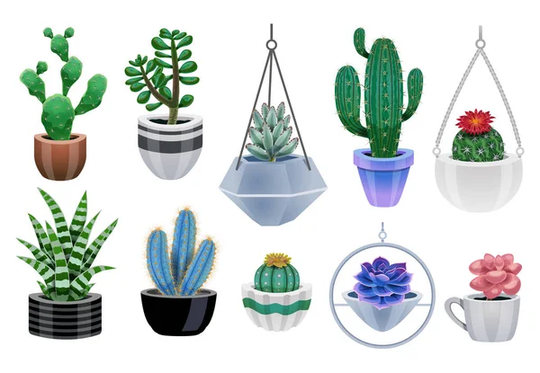 Ensemble d'icônes de plantes de cactus — Image vectorielle