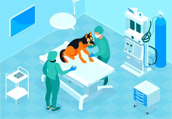 Composición del procedimiento médico veterinario — Vector de stock
