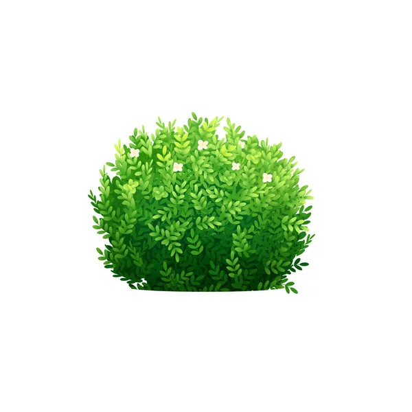 Realistische Bush-Illustration — Stockvektor