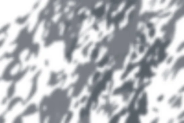 Foliage Wall Shadow Composition — Stock Vector