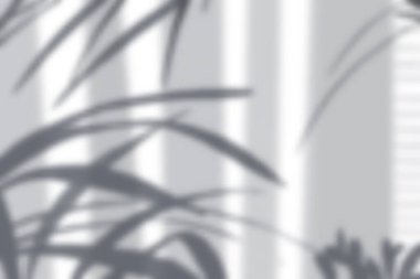 Bitki Gölge Bileşimi Yapılandırır