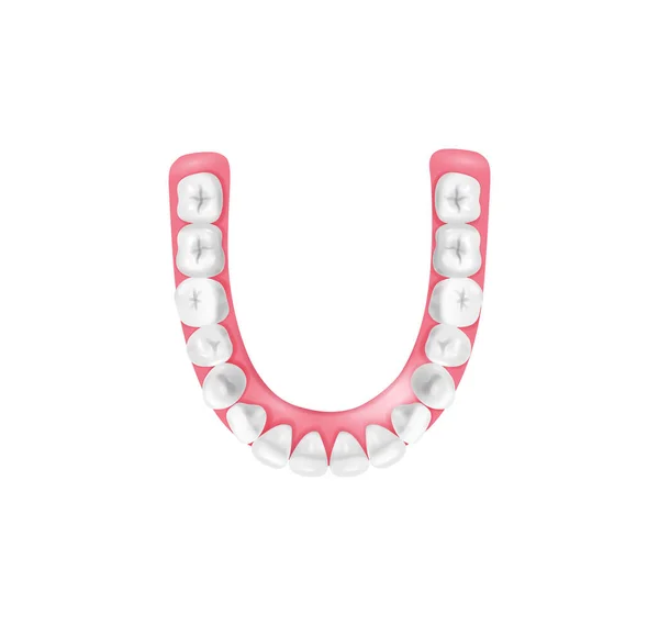 Zusammensetzung falscher Zähne — Stockvektor