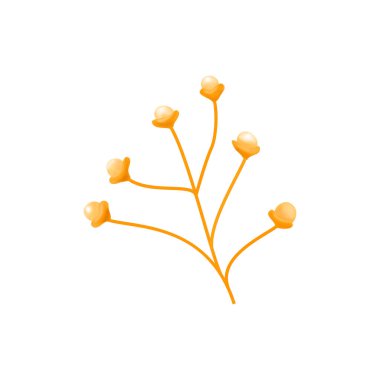 Cilt Duyusal Alıcılar İllüzyonu