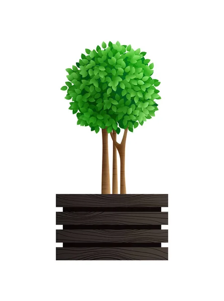 Zielony krzew ogrodowy — Wektor stockowy