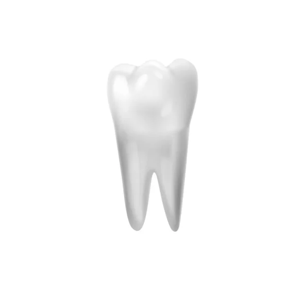 Zahn mit Wurzelzusammensetzung — Stockvektor