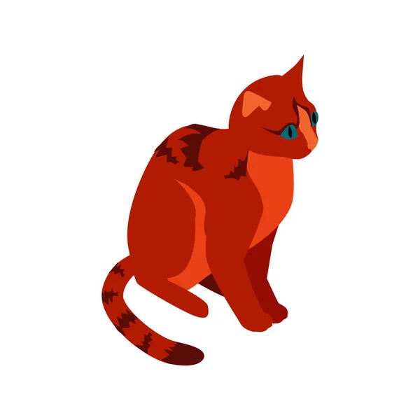 Katt Isometrisk Sällskapsdjur Sammansättning — Stock vektor