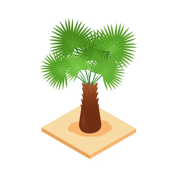 Palmera Composición isométrica — Vector de stock