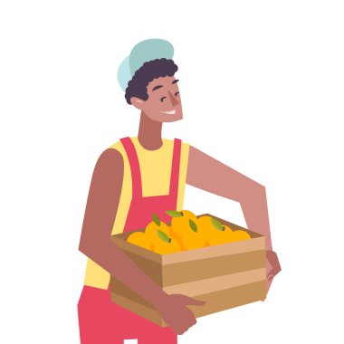 Citrus Meyve Vektörü İllüstrasyonu