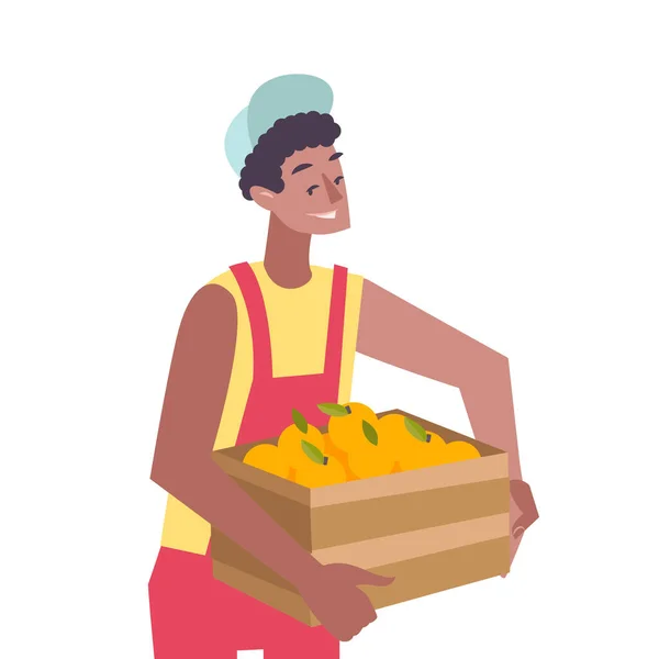 Vector de frutas cítricas Ilustración — Archivo Imágenes Vectoriales