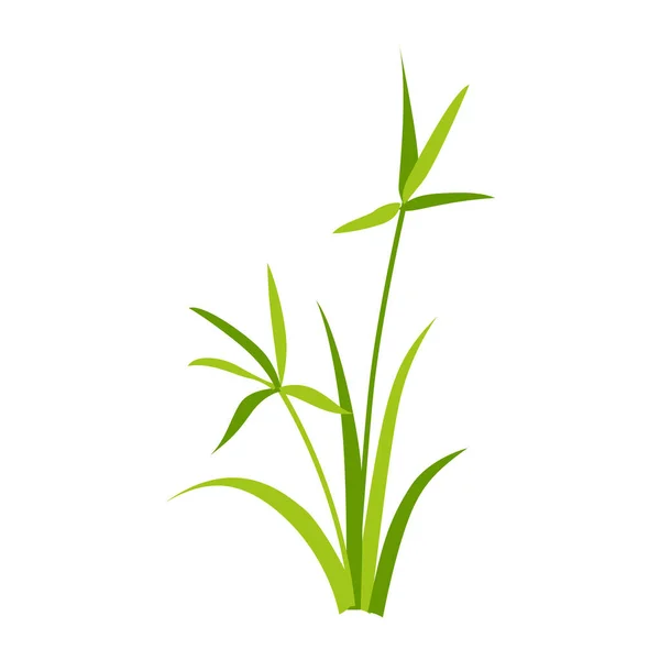 Illustration vectorielle des plantes paysagères — Image vectorielle
