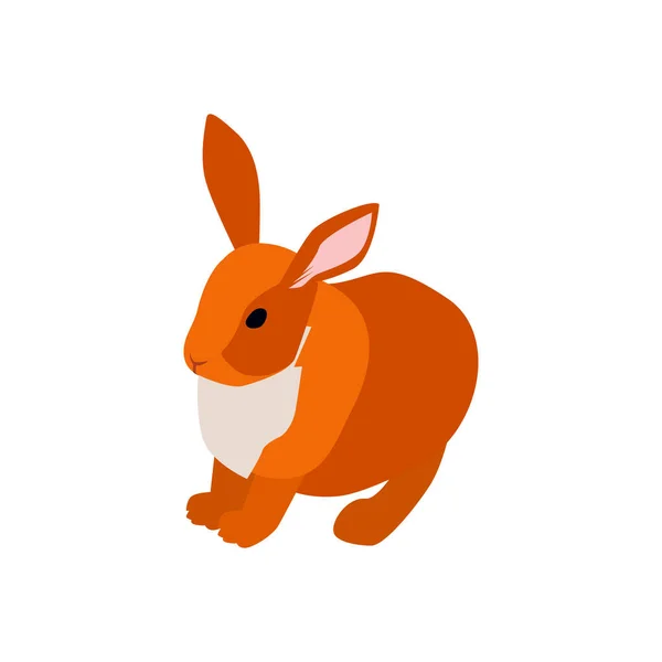 Rabbit Isometric Pet Composition — Stock Vector
