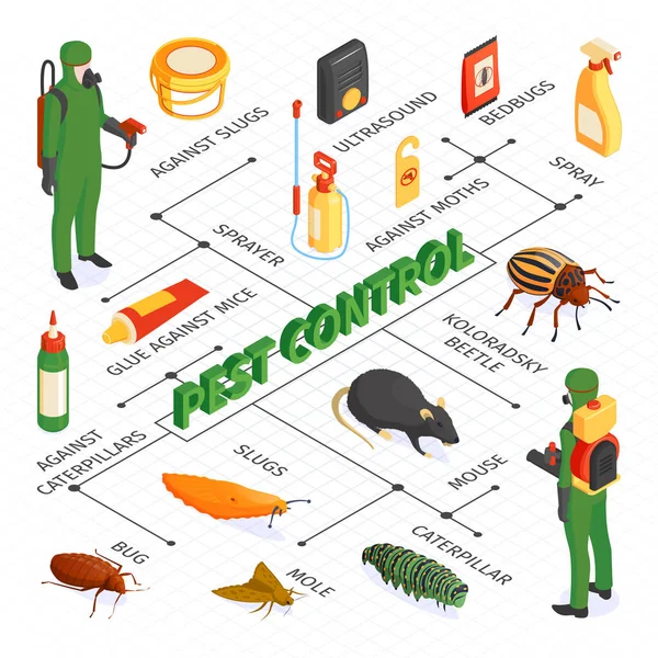 Diagrama de flujo isométrico de control de plagas — Vector de stock