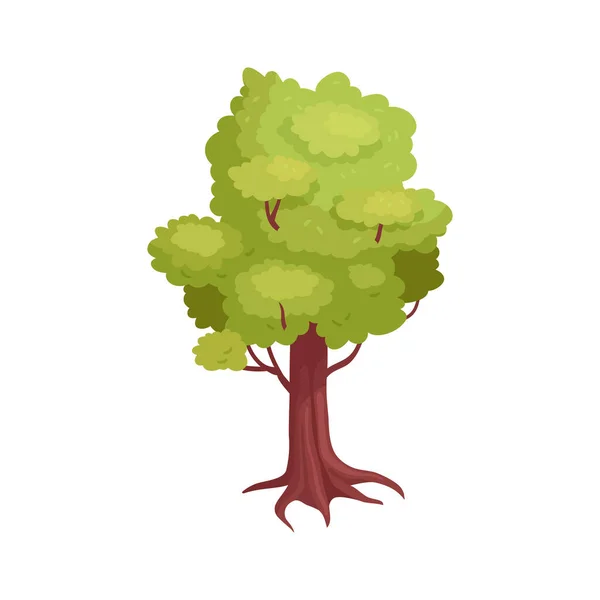 Composição da árvore ramificada isométrica — Vetor de Stock