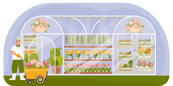 Vivero de plantas Composición plana — Vector de stock