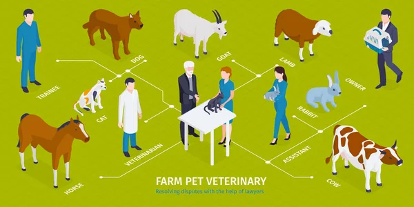 Farm Pets Veterinary Infographics — Stock Vector