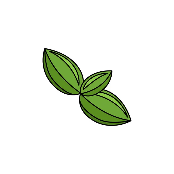 Albahaca Apartamento Icono — Vector de stock