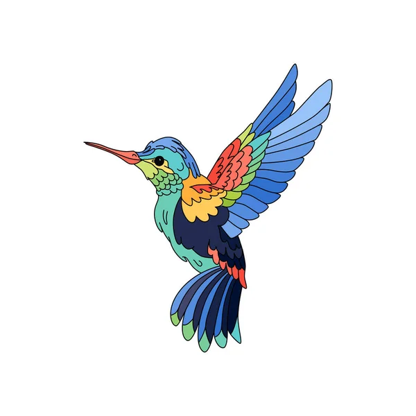 Humming Bird Illustration — Stock Vector