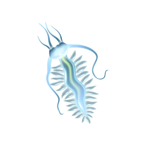 Ilustración realista del plancton — Vector de stock