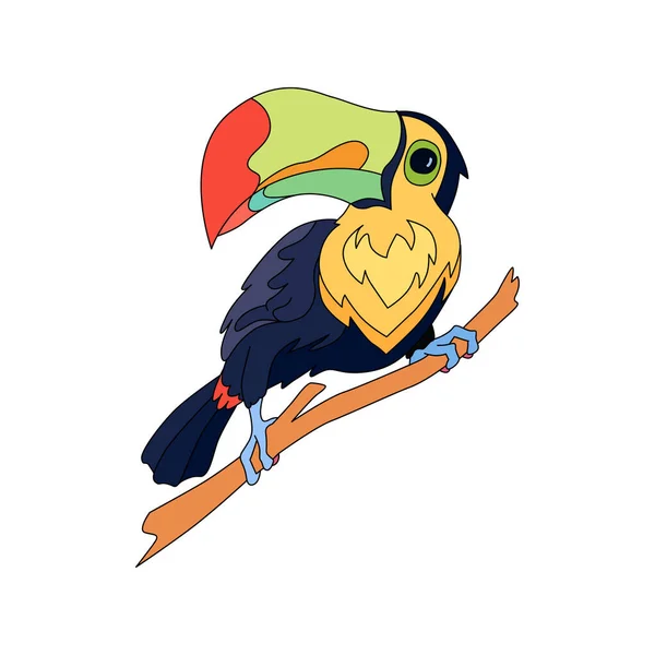 Ručně kreslený Toucan — Stockový vektor