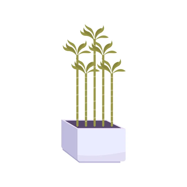 Huis Plant Illustratie — Stockvector