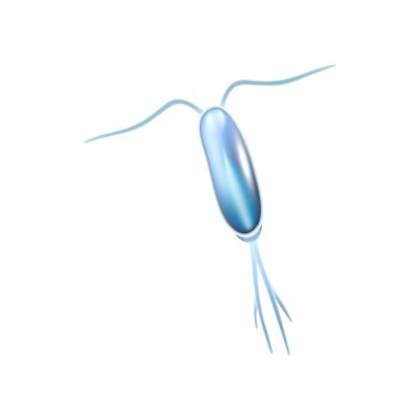 Kopya Kapsülü Plankton Simgesi