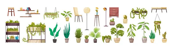 Home Plants Horizontal Set — Stock Vector