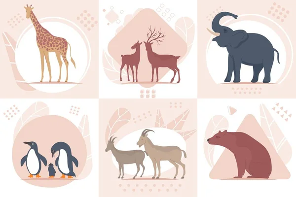 Conceito de Design de Animais Selvagens —  Vetores de Stock