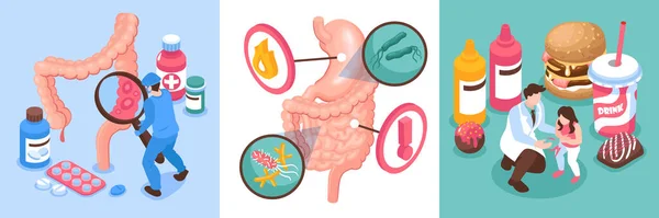 Isometrisk Gastroenterologi Design Concept Set — Stock vektor