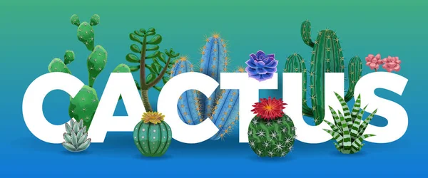 Kaktus Stora bokstäver Sammansättning — Stock vektor