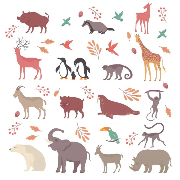 Wildlife Platte Pictogram Set — Stockvector