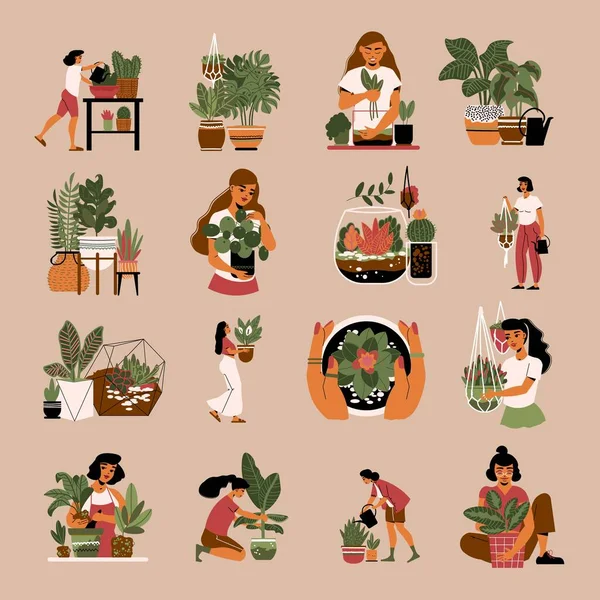 Home Planten Pictogram Set — Stockvector