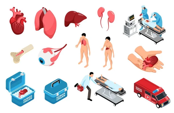 Transplantation Isometric Icon Set — Stock Vector