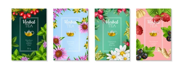 Conjunto de póster de té de hierbas — Vector de stock