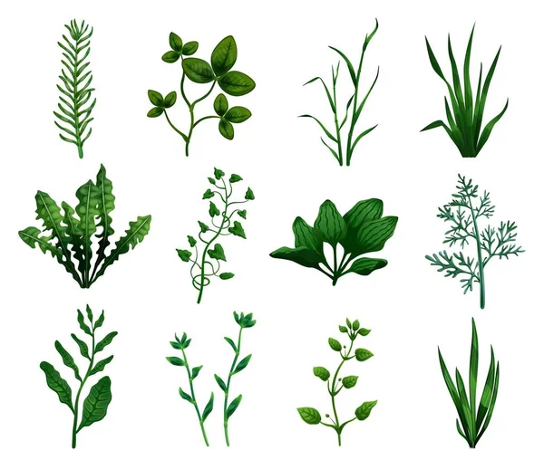 Green Grass Icons Set — стоковый вектор