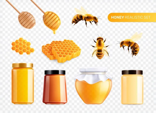 現実的な蜂蜜製品セット — ストックベクタ