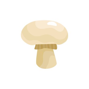 Tüm Mantar Düz Bileşimi