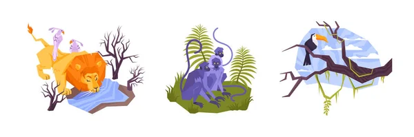 Tropical Animals Compositions Set — Image vectorielle