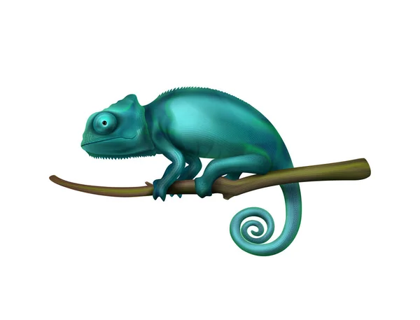 Kameleont realistisk illustration — Stock vektor