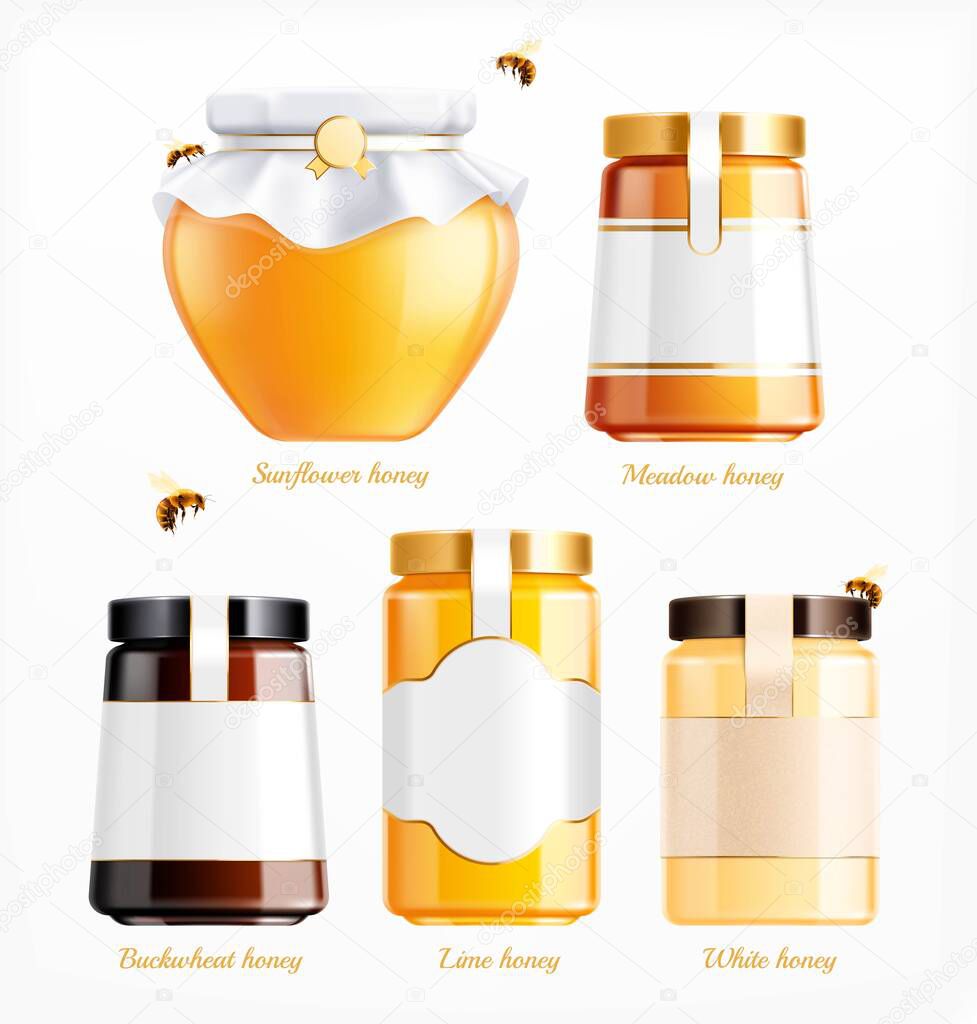Honey Jars Realistic Set