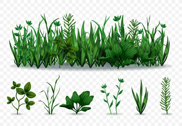 Realistiskt grönt gräs set — Stock vektor