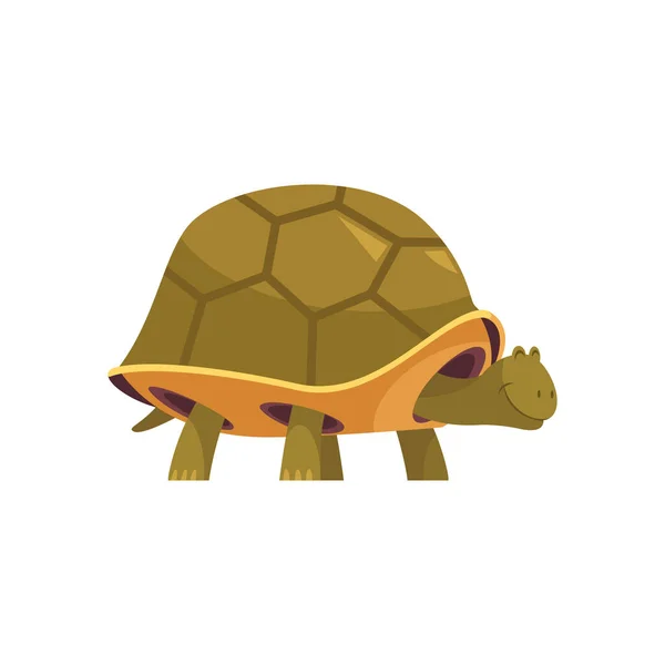 Turtle Cartoon Icon — Stock Vector