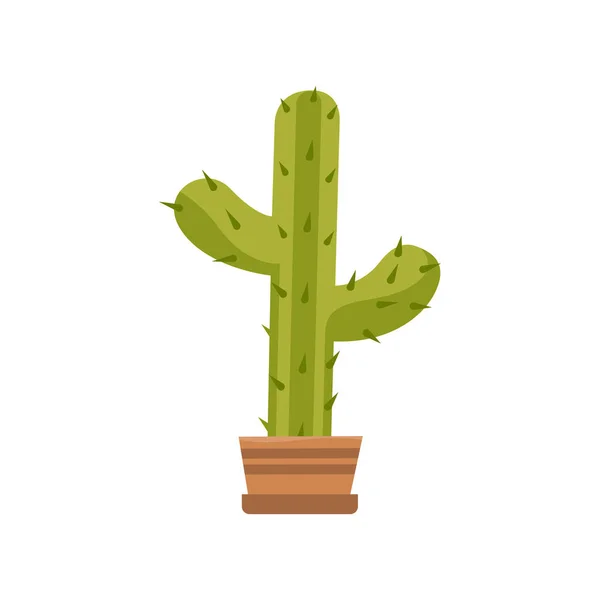 Composizione piatta di Cactus Floristics — Vettoriale Stock